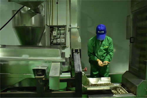 石油工人心向黨 服務(wù)人民辦實事——新材料技術(shù)研發(fā)助力能源產(chǎn)業(yè)高質(zhì)量發(fā)展